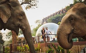 Anantara Golden Triangle Elephant Camp & Resort